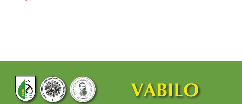 VABILO.png