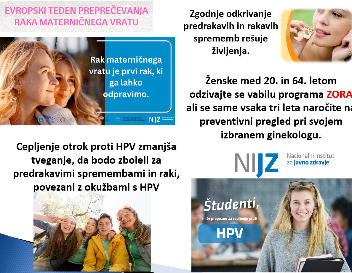 MVR_2024